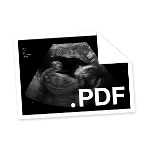 PDF with instant digital delivery