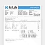 Fake Pregnancy Document from 3 Weeks and Up - Digital PDF