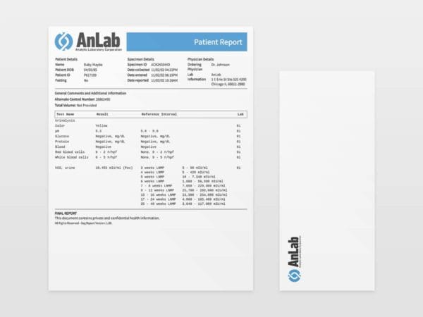 Customized Fake Pregnancy Document from 3 weeks - Baby Maybe