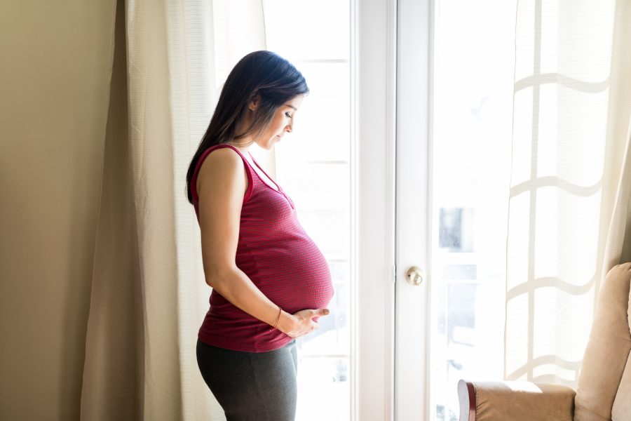 Pregnant Woman By Window