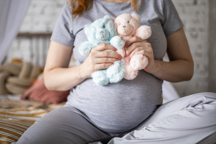 Pregnant woman with twin bears